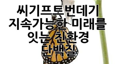 씨기프트번데기 🌱: 지속가능한 미래를 잇는 친환경 단백질!