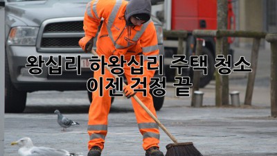 왕십리 하왕십리 주택 청소, 이젠 걱정 끝! ✨